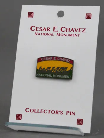 CCNM Lapel Pin