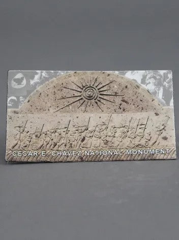 CCNM Magnet