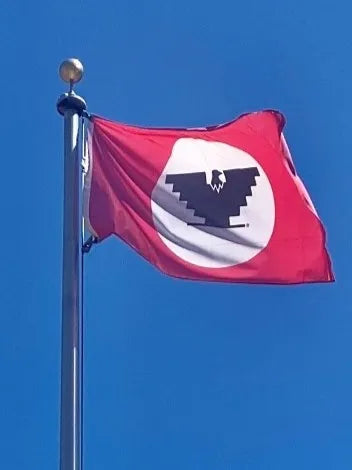 UFW Flag (Large)